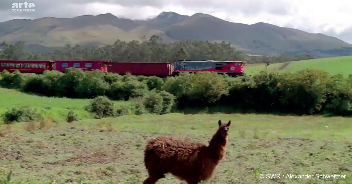 © SWR / Alexander Schweitzer