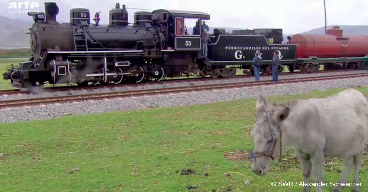 © SWR / Alexander Schweitzer