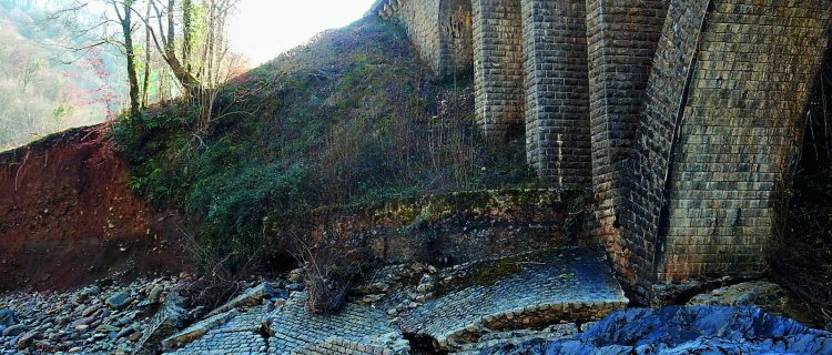 © François Rebillard