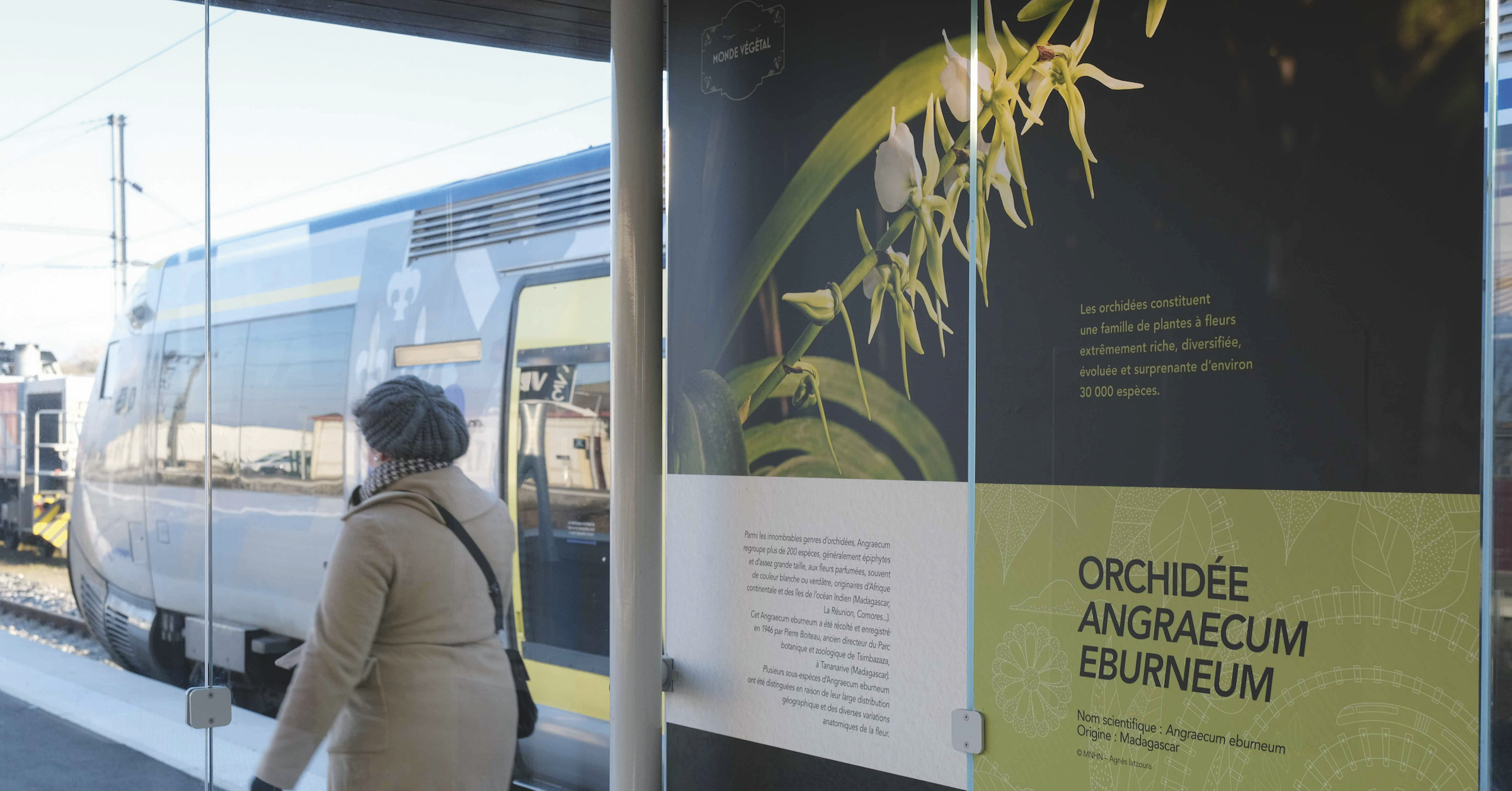 © David Paquin - SNCF Gares & Connexions