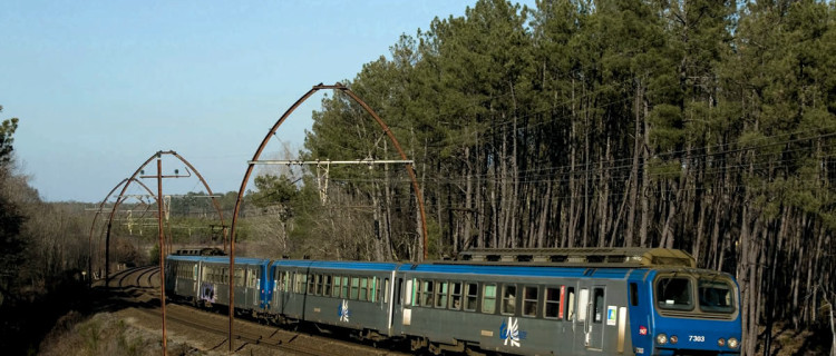 (c) BERNARD COLLARDEY