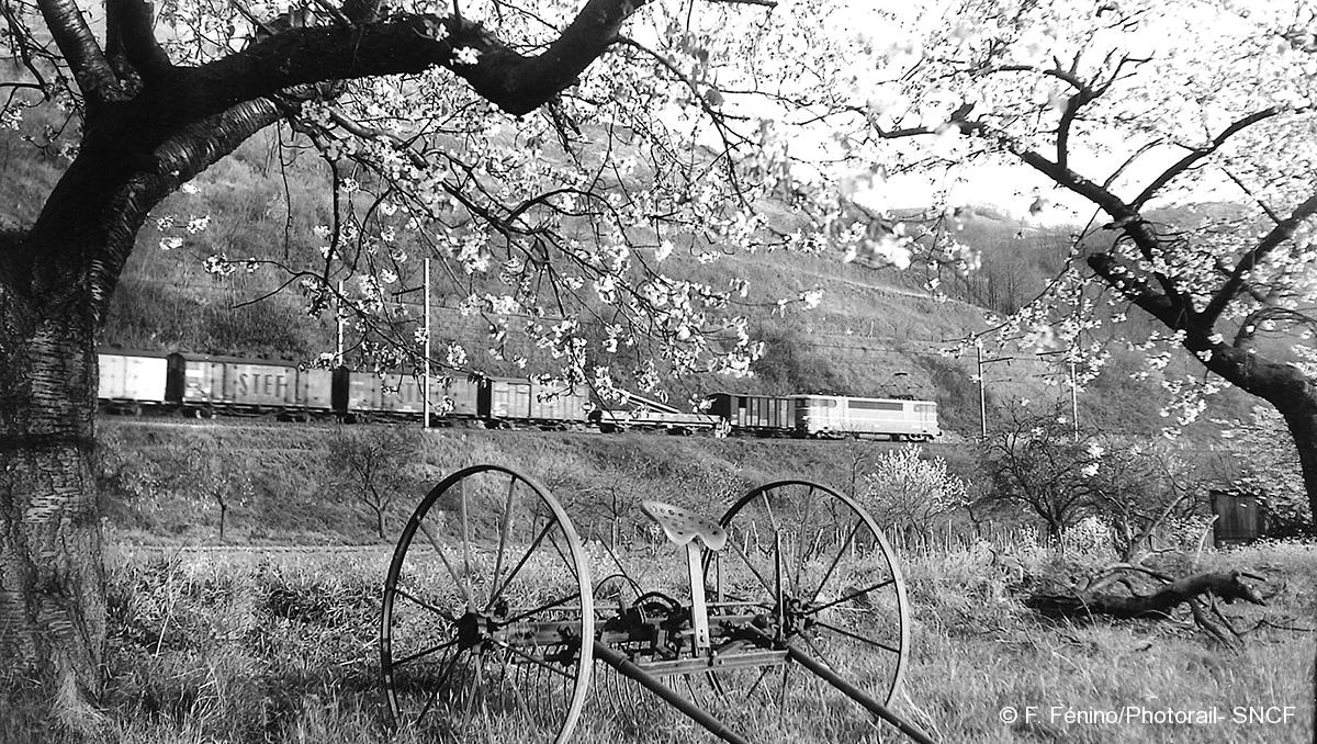 © F. Fénino/Photorail- SNCF