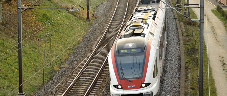 Suisse : un SA 2019 riche en nouveautés 8 © S. Meillasson