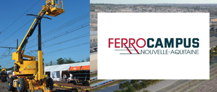 Ferrocampus
