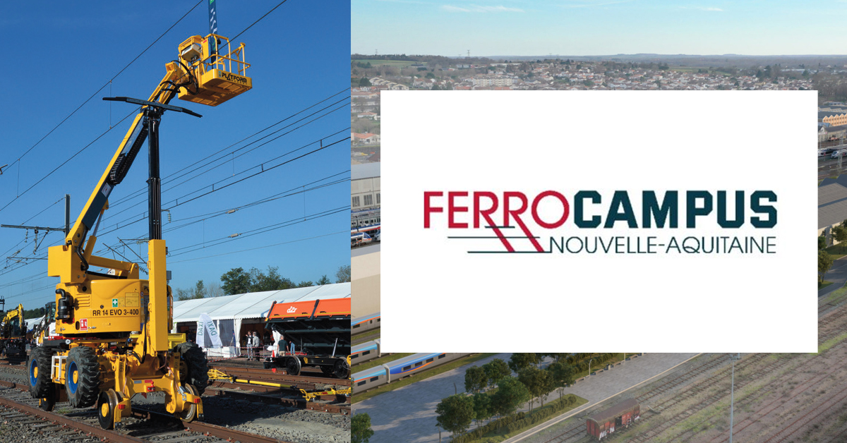 Ferrocampus