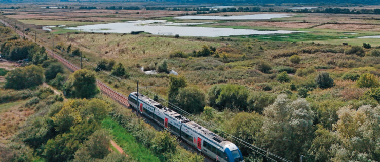 Le TER 866119 Bordeaux - Le Verdon, assuré par l’AGC B 81663/664 circulant en mode diesel, est aperçu peu avant la gare de Soulac-sur-Mer (17 septembre 2024 ; L. Levert).