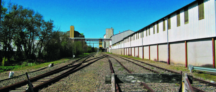 L’ancienne gare de Sainte-Christie transformée en ITE avec, au fond, les silos de l’entreprise Val de Gascogne (6 avril 2014).
