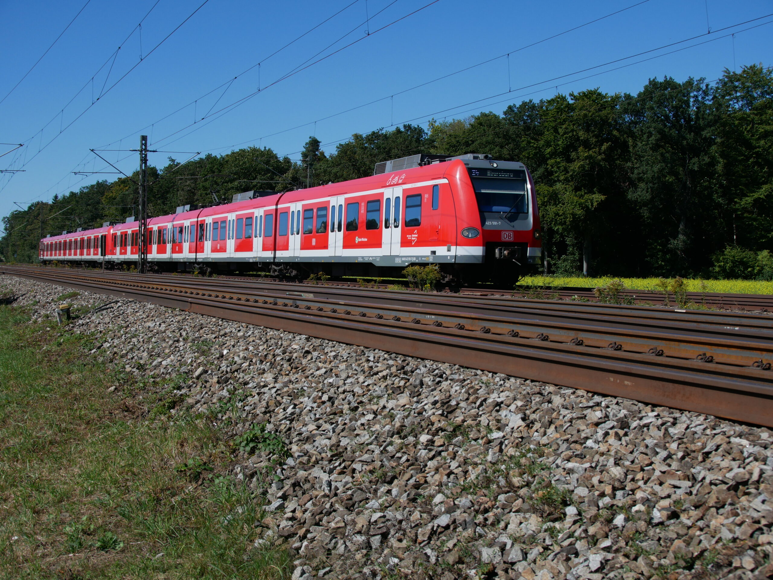 Allemagne : L’extension du S-Bahn de Munich vers Wasserburg approuvée 2 2050419 : Une UM de deux ET 423, avec en tête l’ET 423 091 / 423 591, est aperçue entre Zorneding et Eglharting au train S6 6665 Tutzing – Ebersberg (20 septembre 2023) Crédit photo : Luc LEVERT