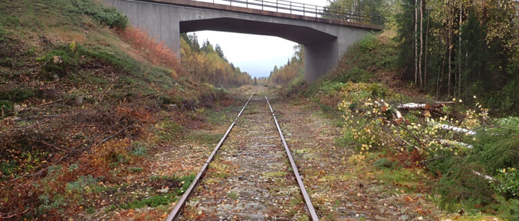 La Suède : Deux lignes du Norrbotten pourraient renaître 2 Vue sur une portion de voie défrichée de la ligne Arvidsjaur-Jörn (15 mars 2026) Crédit photo : Luc Levert