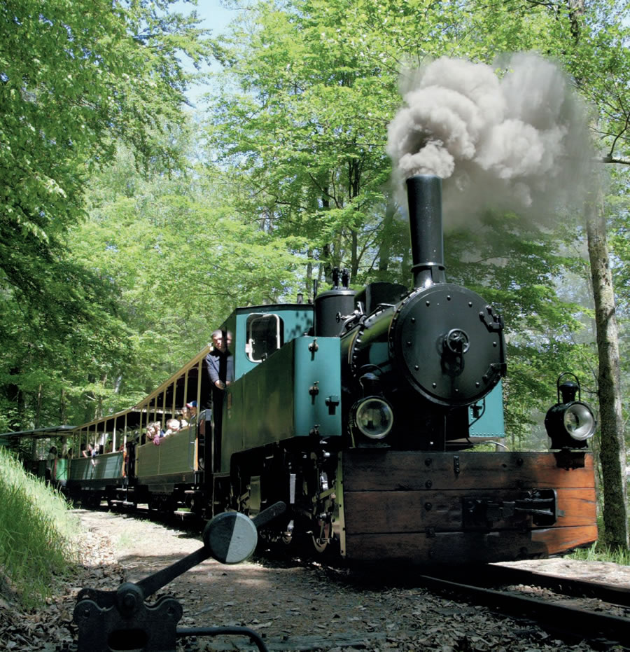 Train de l’Association du chemin de fer forestier d’Abreschviller