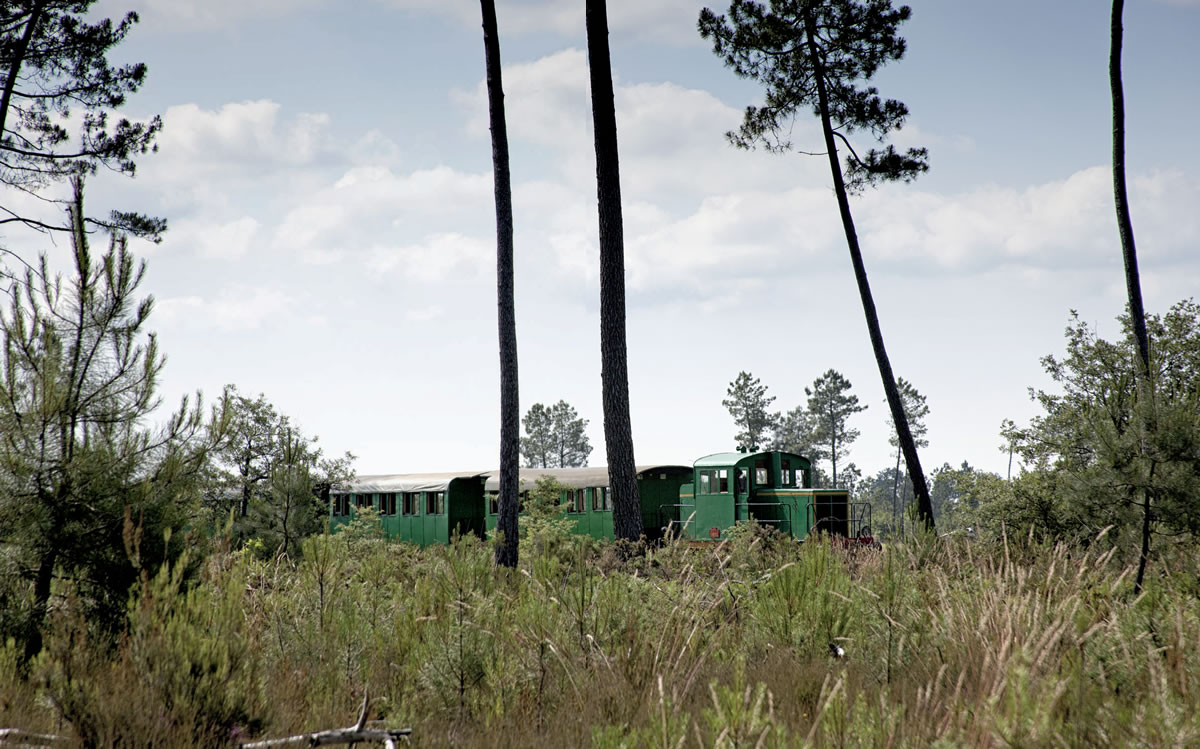 Train de l’écomusée de Marquèze.