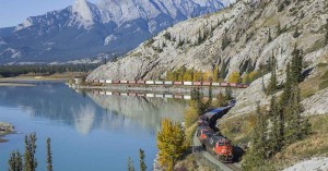 Jasper National Park. Le 28 septembre 2016, un train de fret de la compagnie "Canadian National", reliant Coquitlam à Edmonton, longe la rivière Athabasca dans le parc national de Jasper.