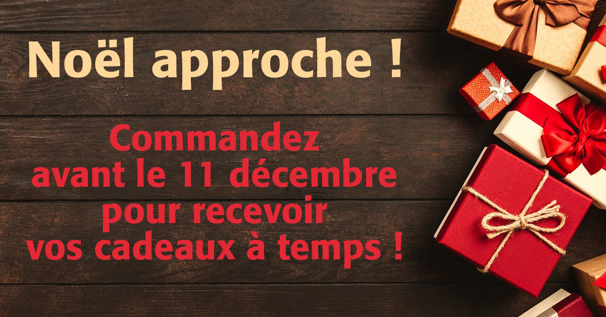 Plus que 2 jours pour commander vos cadeaux de Noël ! - laviedurail