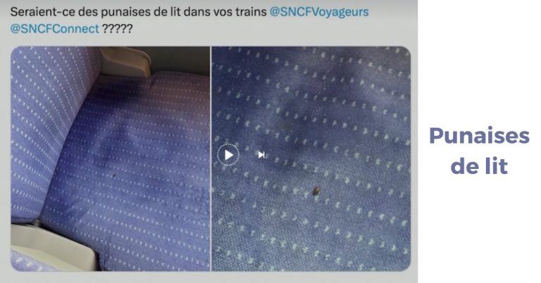 Aucun cas avéré de punaises de lit dans les transports publics, selon Clément Beaune 8 © prise d'écran X (anciennementTwitter))