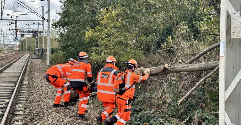 2000 arbres tombés sur le réseau ferré avec les tempêtes : des dégâts d’une ampleur exceptionnelle 10 © SNCFRéseau