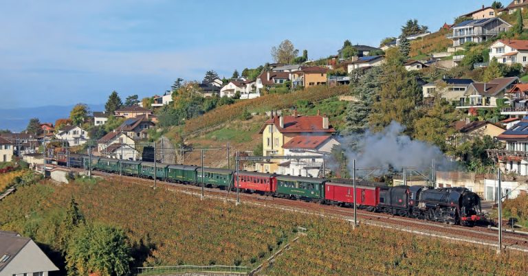 Des Mikado françaises en Suisse 1 © C.Masse