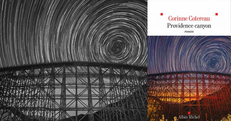 Roman. Quand un chantier ferroviaire déraille 9 Providence Canyon de Corinne Cotereau