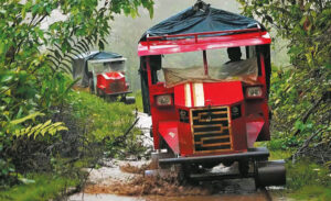 «Rancheras» dans la jungle équatorienne.