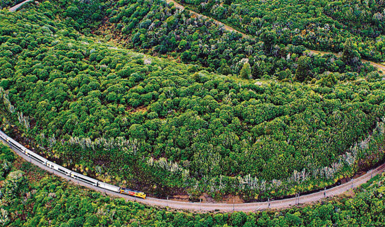Arte. La Nouvelle-Zélande en train en deux épisodes 2 Arte La Nouvelle-Zélande en train en deux épisodes