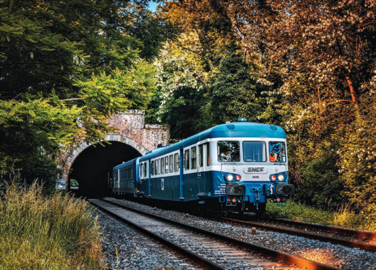Patrimoine. Cet été, faites une virée en autorail des années 1950 2 L’un des autorails historiques du CFTSA.