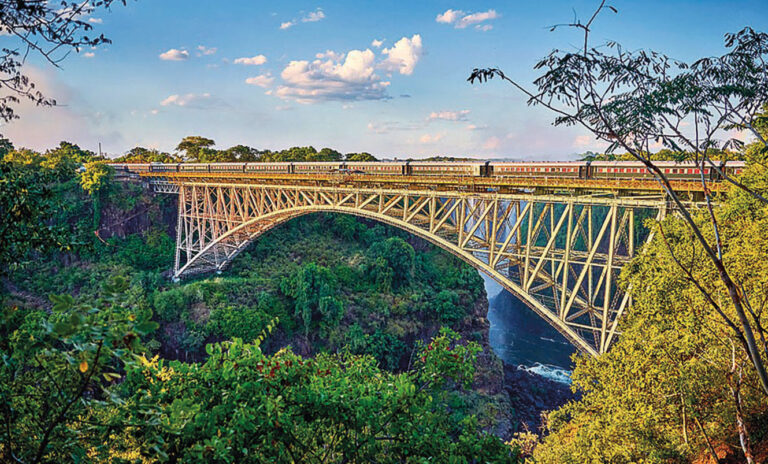 Arte. Un périple ferroviaire à la rencontre de la faune africaine 10 Le Tazara.