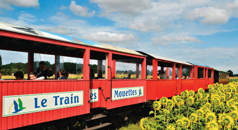 Patrimoine. Le Train des Mouettes fête les 150 ans de la ligne Saujon – La Tremblade 10 En Charente-Maritime, la ligne Saujon – La Tremblade a été mise en service il y a 150 ans. Pour célébrer cet anniversaire, Trains & Traction, exploitant du Train