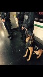 Répertoire des membres