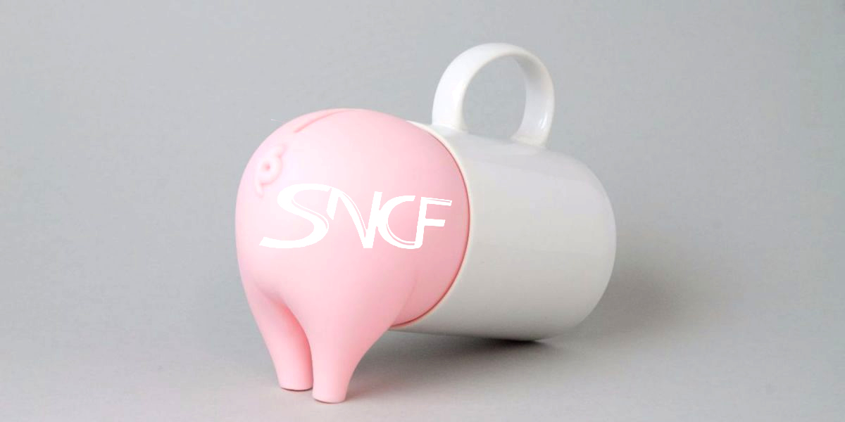 Budget de crise à la SNCF 18 Budget de crise à la SNCF