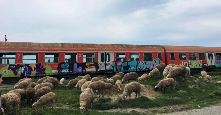 Arte. Les secrets du train en Albanie 20 © Loupefilm