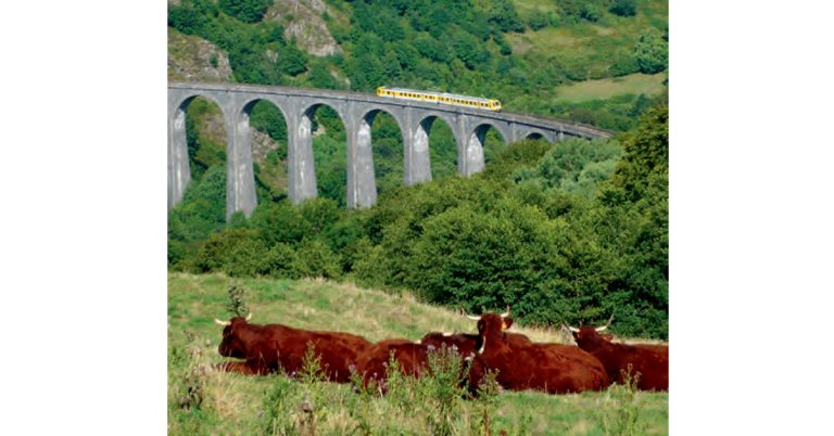 Trains touristiques. Pour visiter la France autrement (1re partie) 12 © CFHA - Barajol