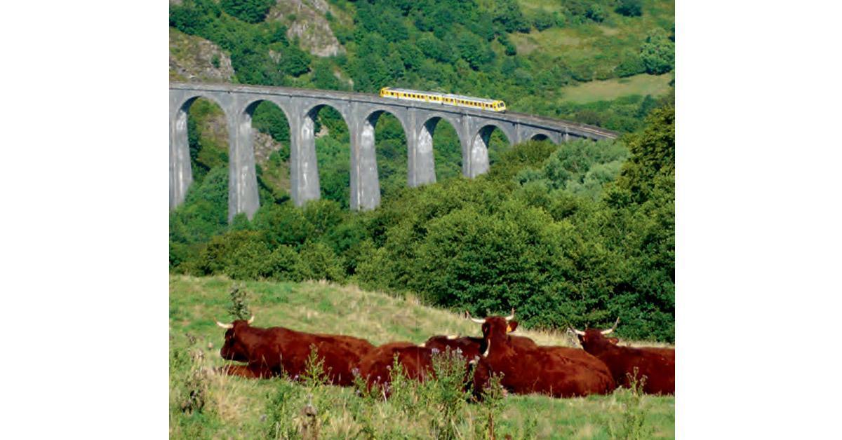 Trains touristiques. Pour visiter la France autrement (1re partie) 1 © CFHA - Barajol