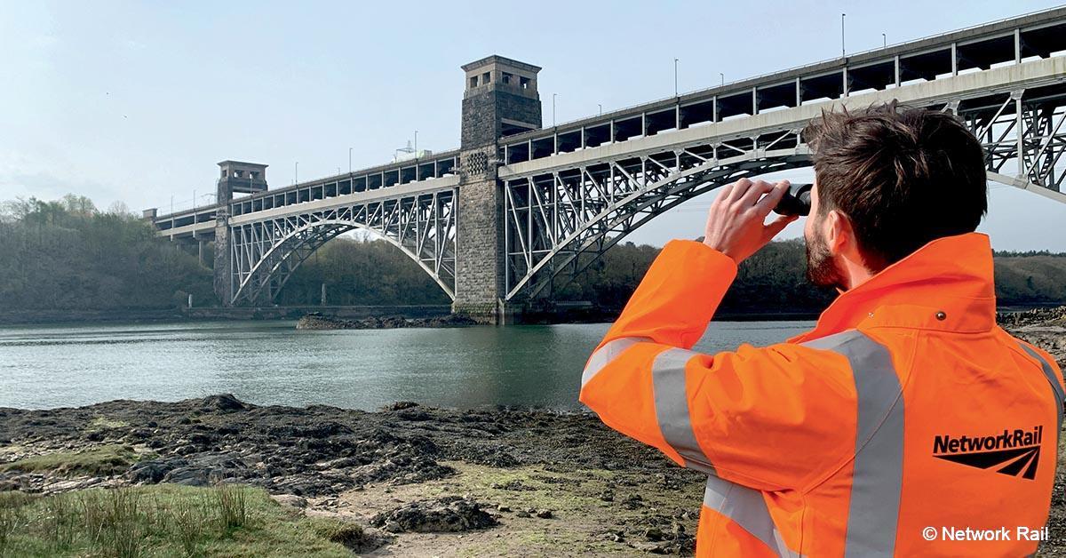 Grande-Bretagne. Des faucons pèlerins changent les plans de Network Rail 1 © Network Rail