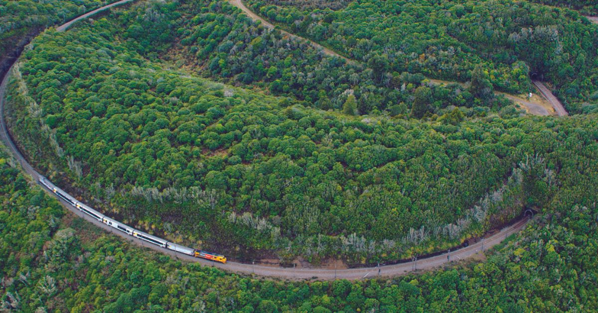Arte. La Nouvelle-Zélande en train du Nord au Sud 1 © Making Movies