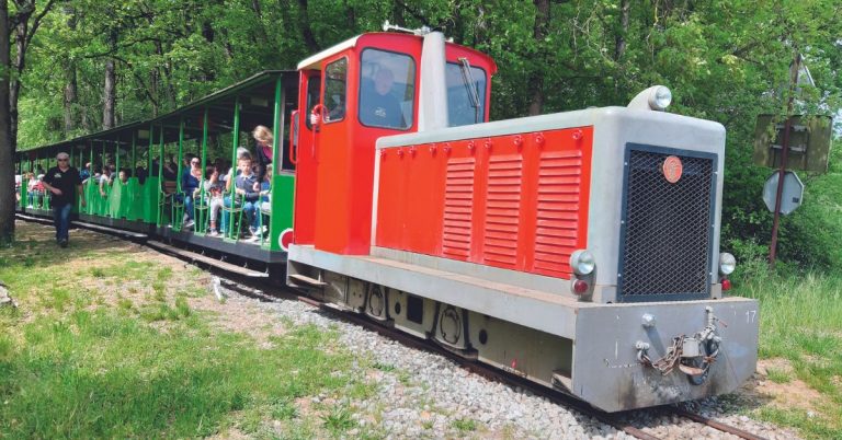 Patrimoine. Bienvenue au Chemin de fer touristique du Tarn 12 © Bernard VIEU
