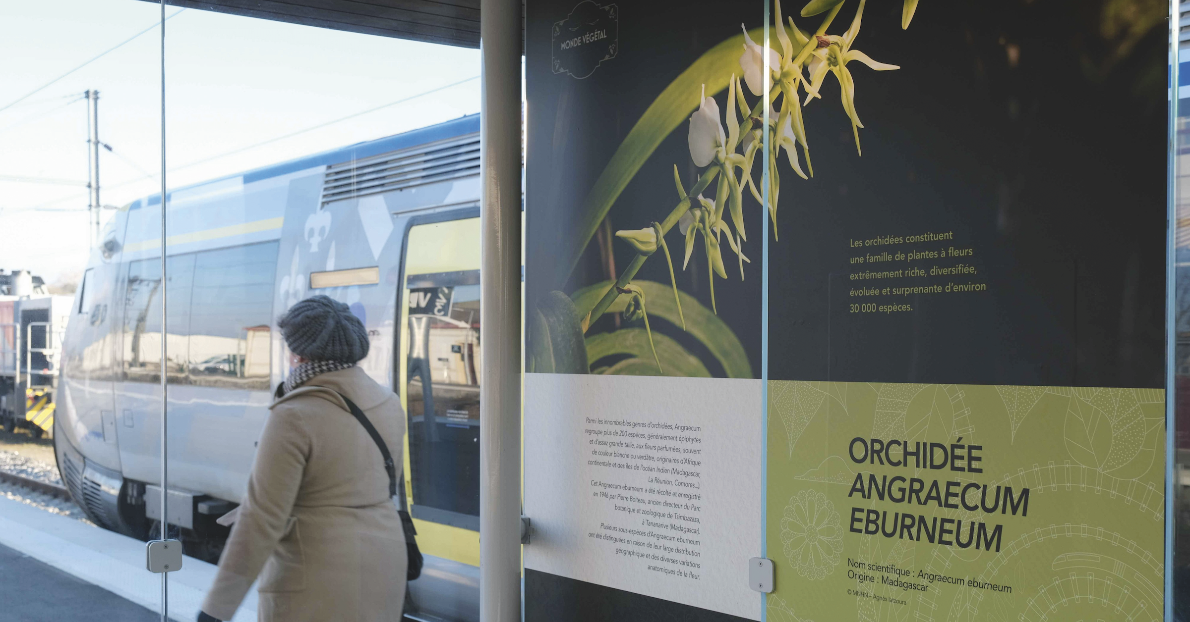 Expo. Des plantes sur les quais de la ligne TER Paris - Clermont-Ferrand 1 © David Paquin - SNCF Gares & Connexions