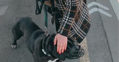 Les Anges du rail au secours des animaux abandonnés 10 Les Anges du rail au secours des animaux abandonnés