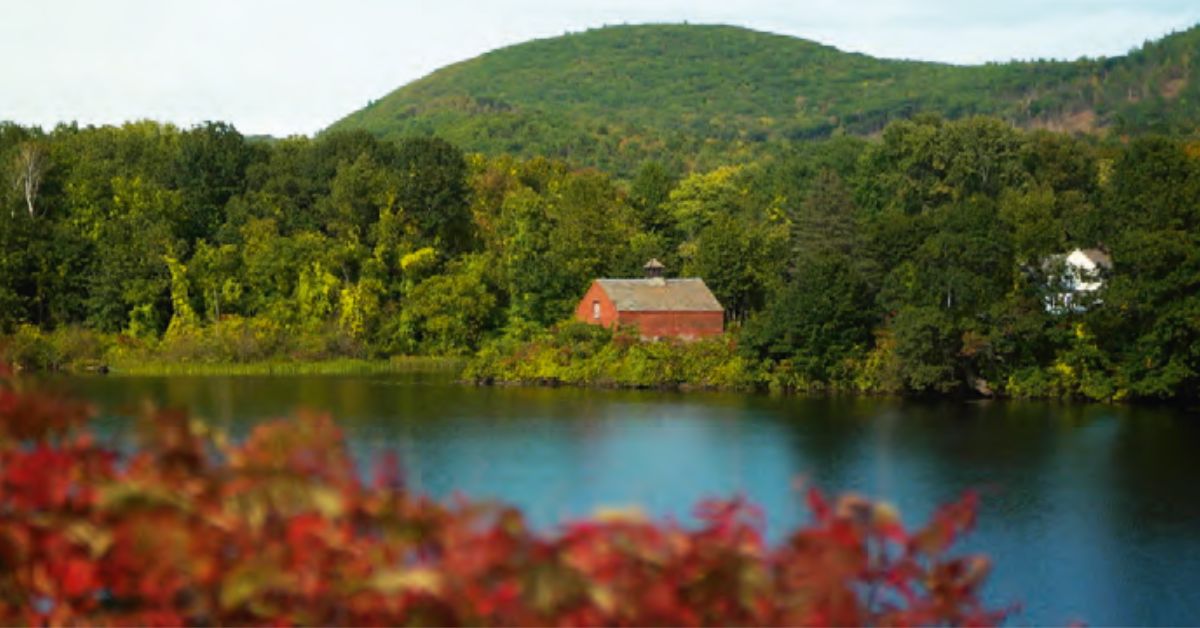 Arte. Comme un accident sur un chantier ferroviaire a bouleversé nos connaissances 1 © Elephant Doc