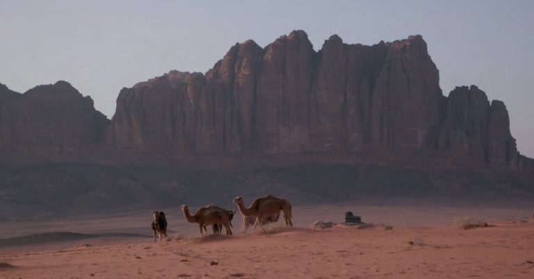 Arte. L’histoire fascinante du chemin de fer du Hedjaz 8 © Elephant Doc