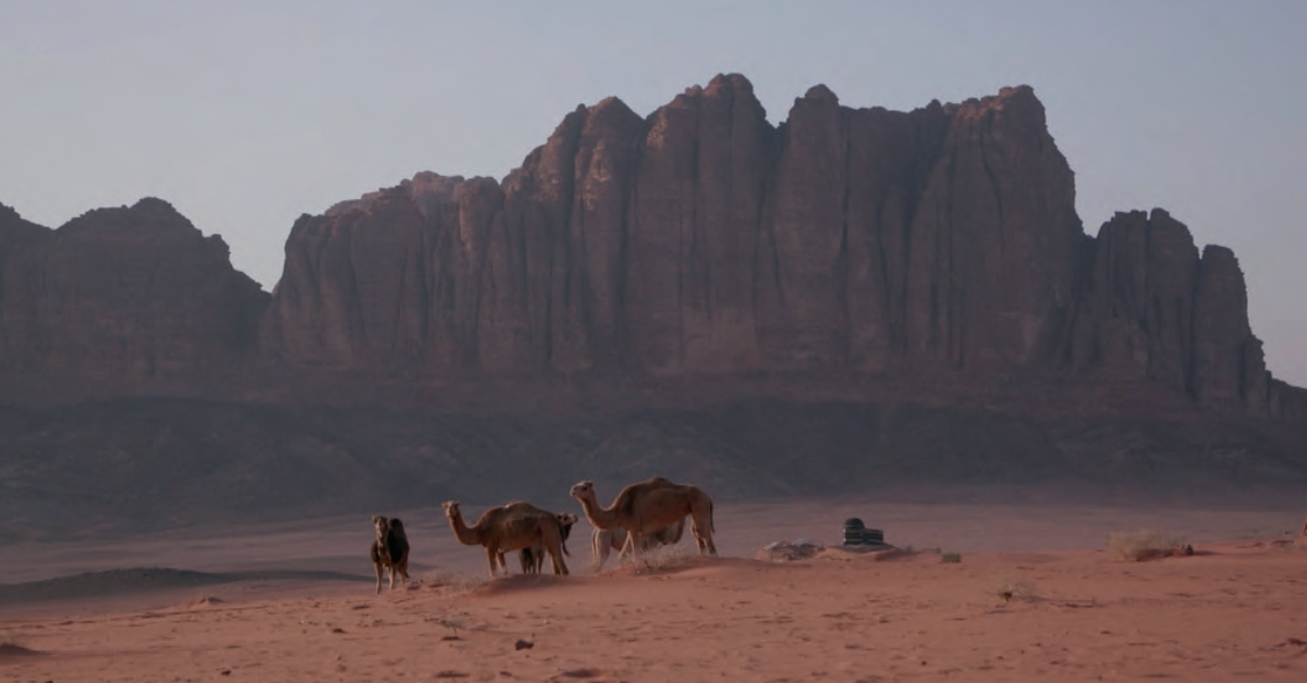 Arte. L’histoire fascinante du chemin de fer du Hedjaz 1 © Elephant Doc