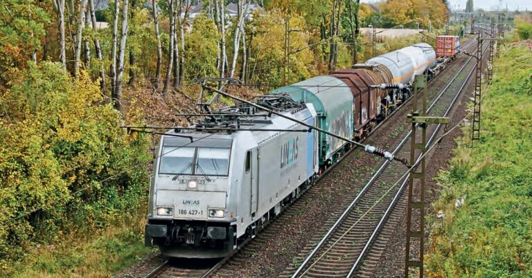 Lineas : Une Lueur d'Espoir à l'Horizon 12 © Luc LEVERT