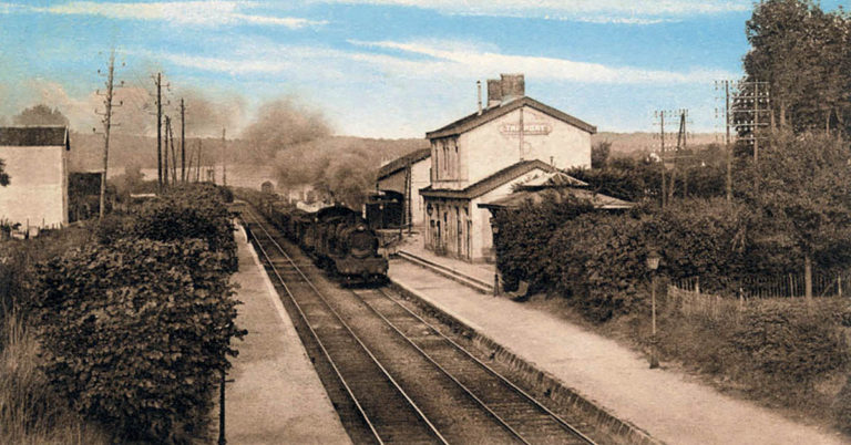 Haies vives pour lignes vertes 10 © DR/Photorail