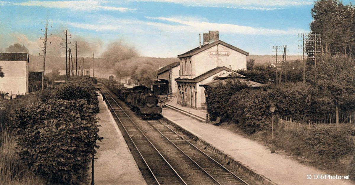 Haies vives pour lignes vertes 1 © DR/Photorail